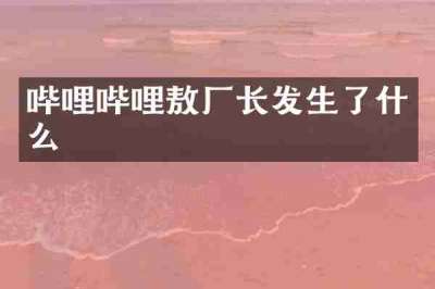哔哩哔哩敖厂长发生了什么