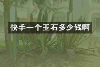 快手一个玉石多少钱啊