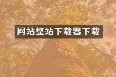 网站整站下载器下载