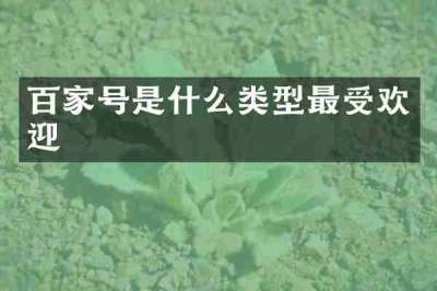 百家号是什么类型最受欢迎