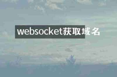 websocket获取域名