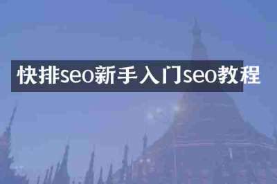 快排seo新手入门seo教程