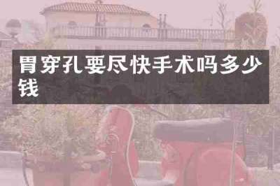 胃穿孔要尽快手术吗多少钱