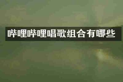 哔哩哔哩唱歌组合有哪些