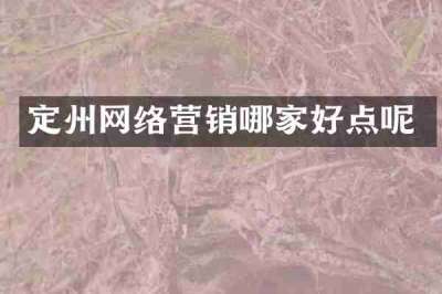 定州网络营销哪家好点呢