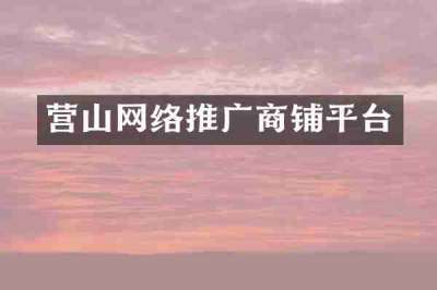 营山网络推广商铺平台