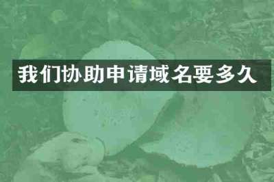 我们协助申请域名要多久