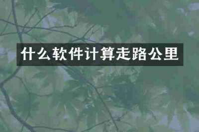 什么软件计算走路公里