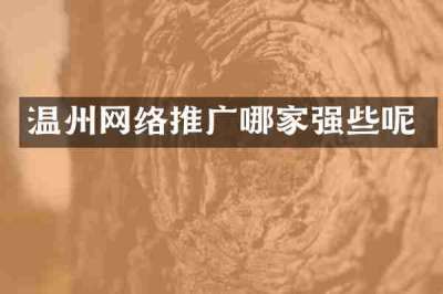 温州网络推广哪家强些呢
