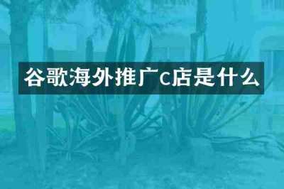 谷歌海外推广c店是什么
