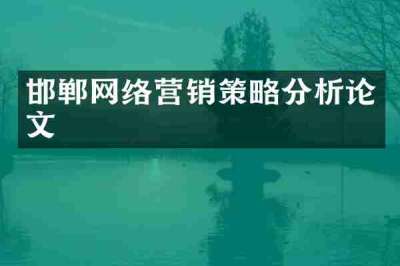 邯郸网络营销策略分析论文