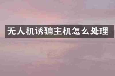 无人机诱骗主机怎么处理