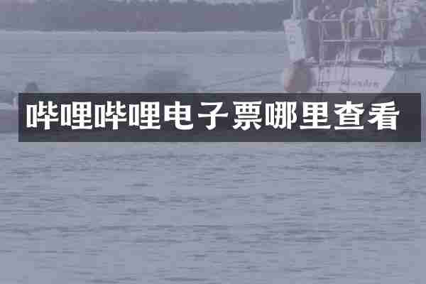 哔哩哔哩电子票哪里查看