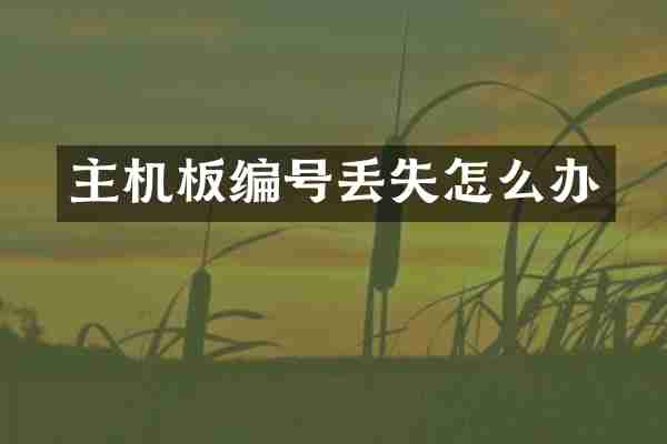 主机板编号丢失怎么办