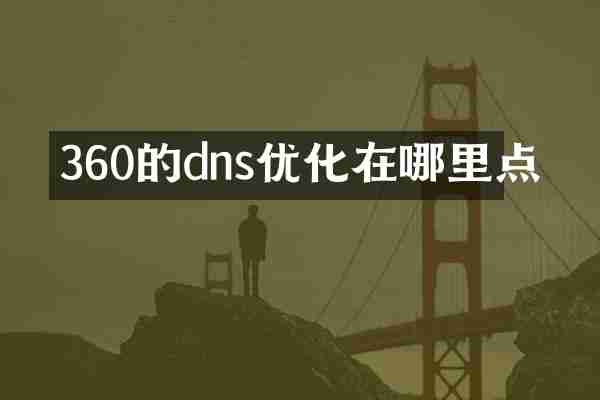 360的dns优化在哪里点