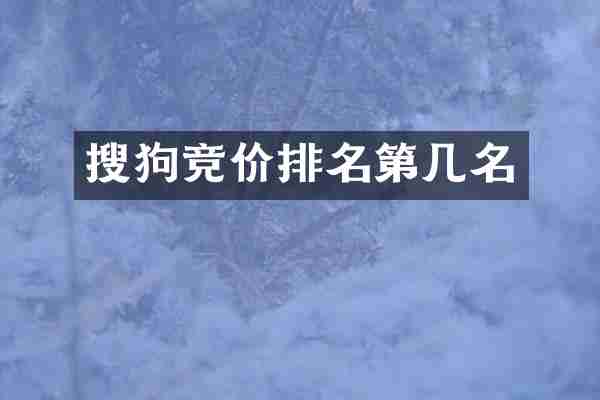 搜狗竞价排名第几名