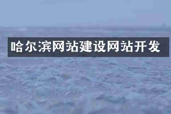 哈尔滨网站建设网站开发