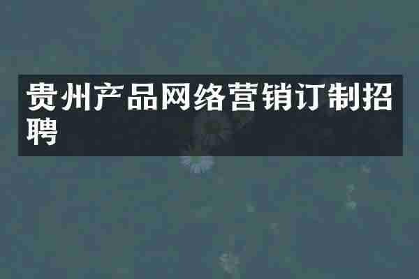 贵州产品网络营销订制招聘