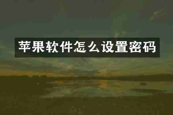 苹果软件怎么设置密码