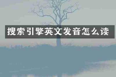 搜索引擎英文发音怎么读