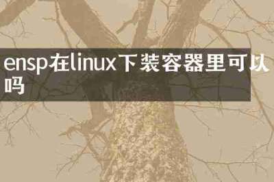 ensp在linux下装容器里可以吗
