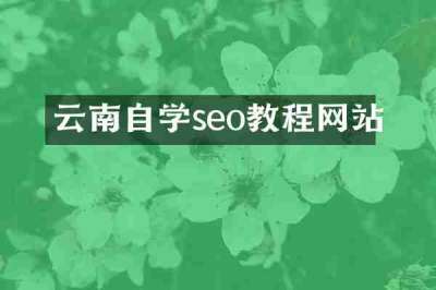云南自学seo教程网站