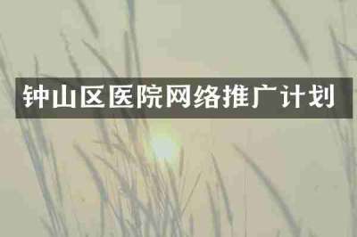 钟山区医院网络推广计划