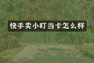 快手卖小叮当卡怎么样
