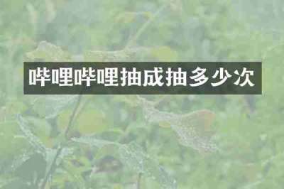 哔哩哔哩抽成抽多少次