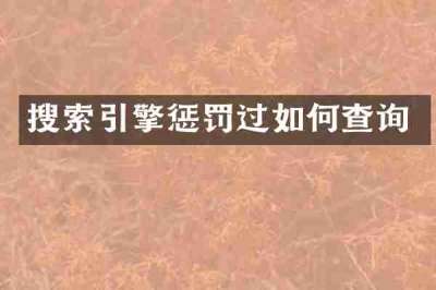 搜索引擎惩罚过如何查询