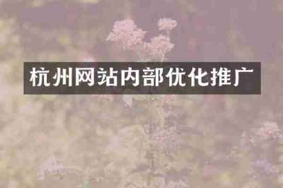 杭州网站内部优化推广