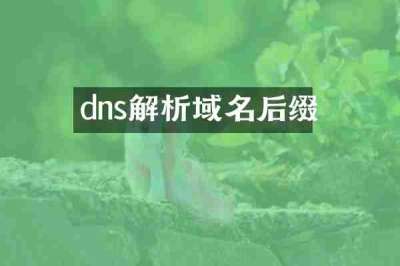 dns解析域名后缀