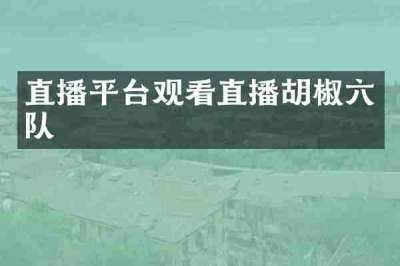 直播平台观看直播胡椒六队