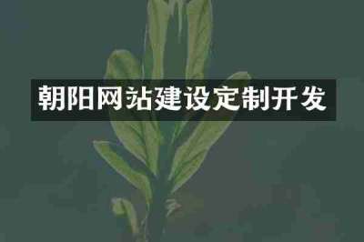 朝阳网站建设定制开发