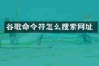 谷歌命令符怎么搜索网址