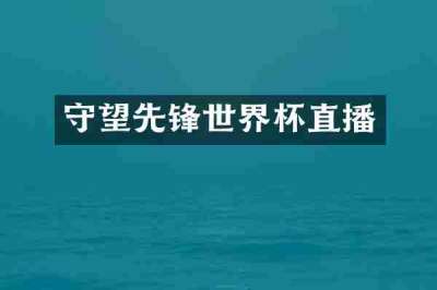 守望先锋世界杯直播