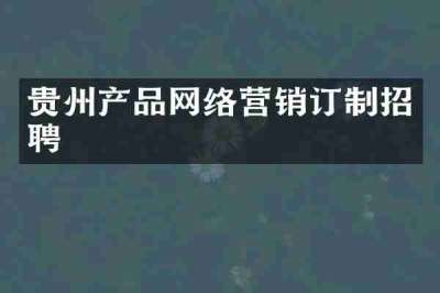 贵州产品网络营销订制招聘