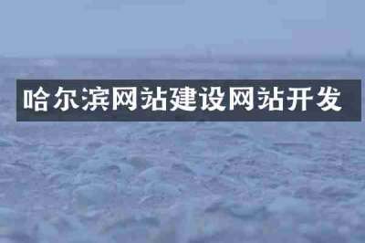 哈尔滨网站建设网站开发