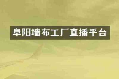 阜阳墙布工厂直播平台