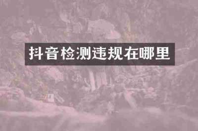 抖音检测违规在哪里