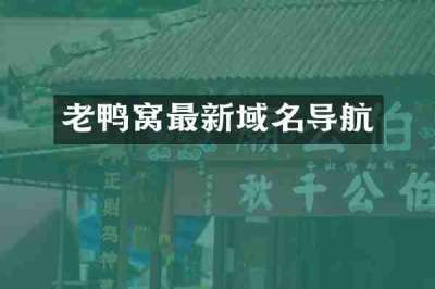 老鸭窝最新域名导航