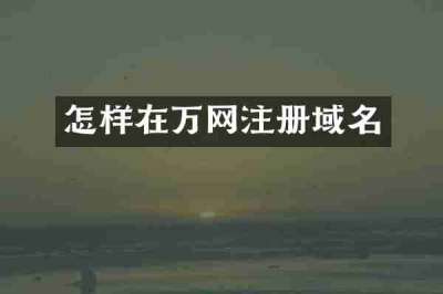怎样在万网注册域名