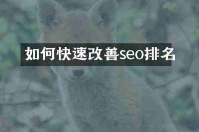 如何快速改善seo排名