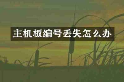 主机板编号丢失怎么办