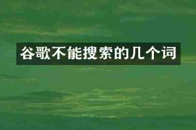 谷歌不能搜索的几个词