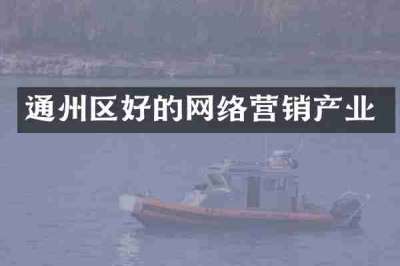通州区好的网络营销产业