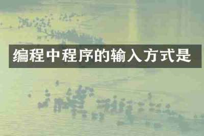 编程中程序的输入方式是
