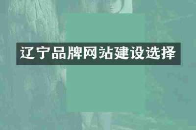 辽宁品牌网站建设选择