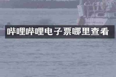 哔哩哔哩电子票哪里查看