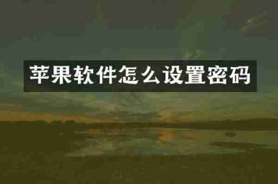 苹果软件怎么设置密码
